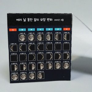 [유비네294] 달 모양 관찰 H (4인용)